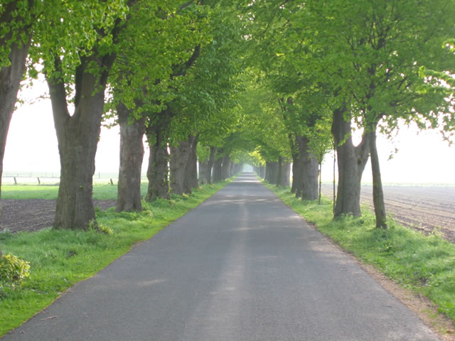 Weißenberger Allee