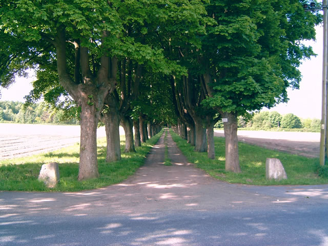 Privatweg WBerg 2